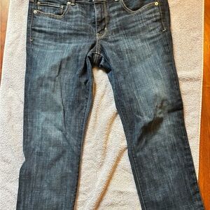 American Eagle Outfitters Dark Blue Ankle Jeans